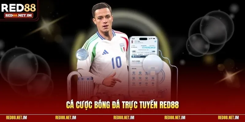 Cá cược bóng đá trực tuyến