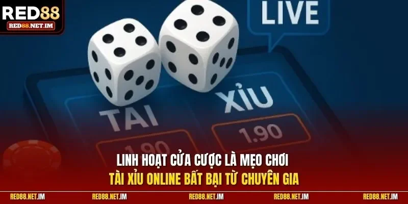 Linh hoạt cửa cược là mẹo chơi tài xỉu online bất bại từ chuyên gia