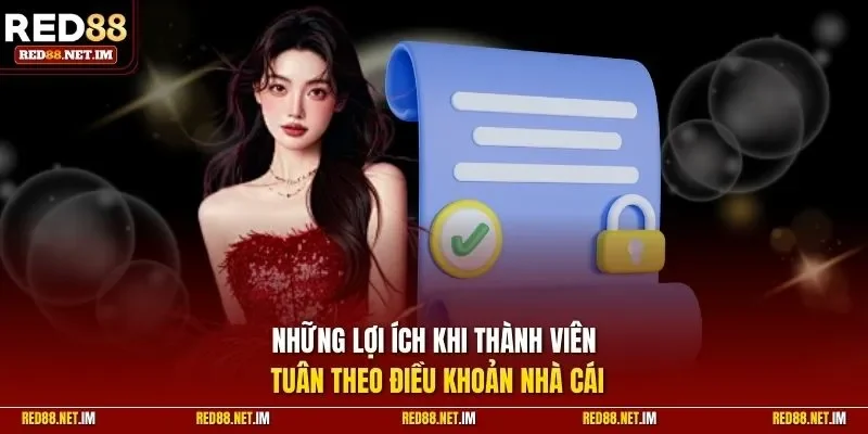 Những lợi ích khi thành viên tuân theo điều khoản nhà cái
