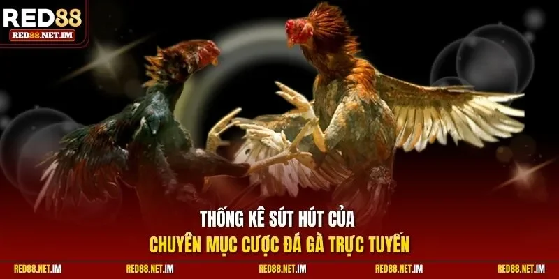 Thống kê sút hút của chuyên mục cược đá gà trực tuyến