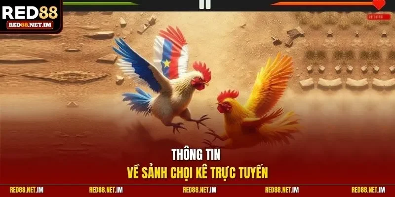 Thông tin về sảnh chọi kê trực tuyến